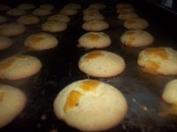 /album/pastageraldo1/a105-6298-jpg/