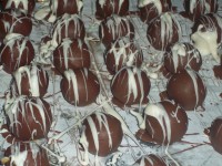 /album/pastageraldo1/a105-6306-jpg/